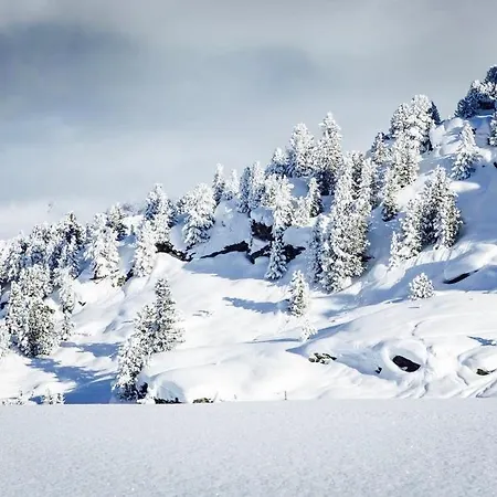 Appartement Domaine Du Jardin Alpin Courchevel